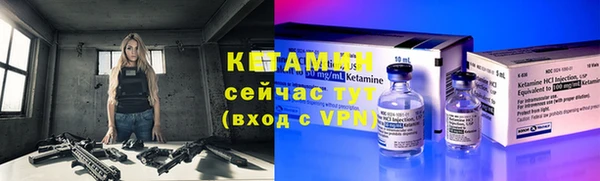 шишки Тавда