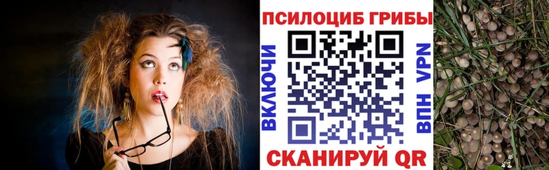 закладка  kraken зеркало  Галлюциногенные грибы ЛСД  Назарово 